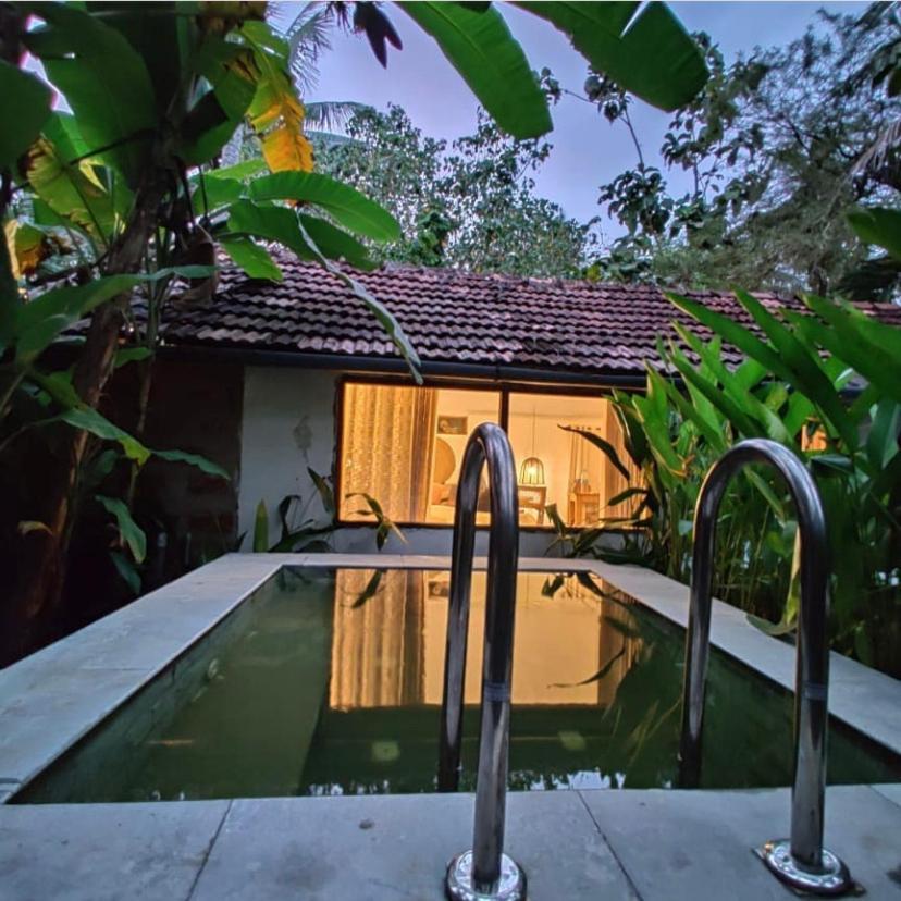 Sunsets And Palm Trees Bed & Breakfast Alappuzha Exterior foto